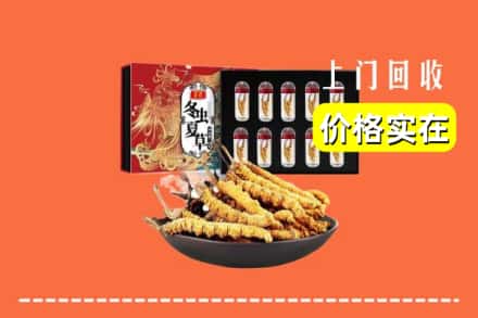魏县回收冬虫夏草