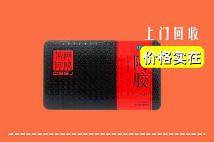 魏县回收阿胶