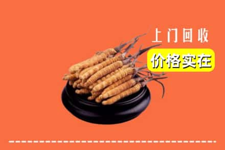 魏县回收冬虫夏草